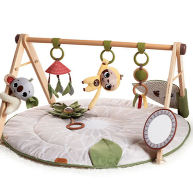 Tiny Love | Aktivitetsmatte