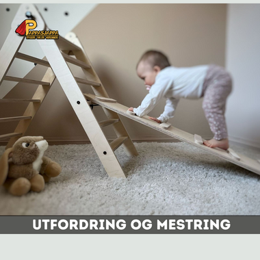 Klatrestativ med sklie | Sammenleggbar