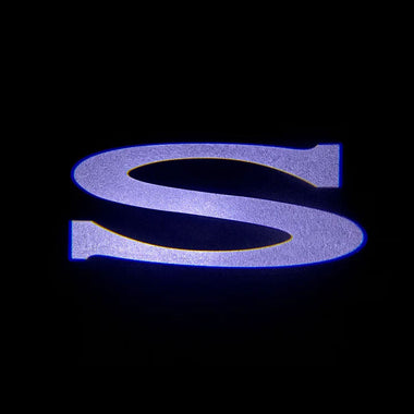 Dørlys med logo 2 stk for Model S