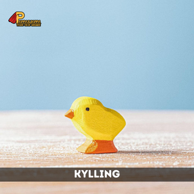Trefigur | Kylling